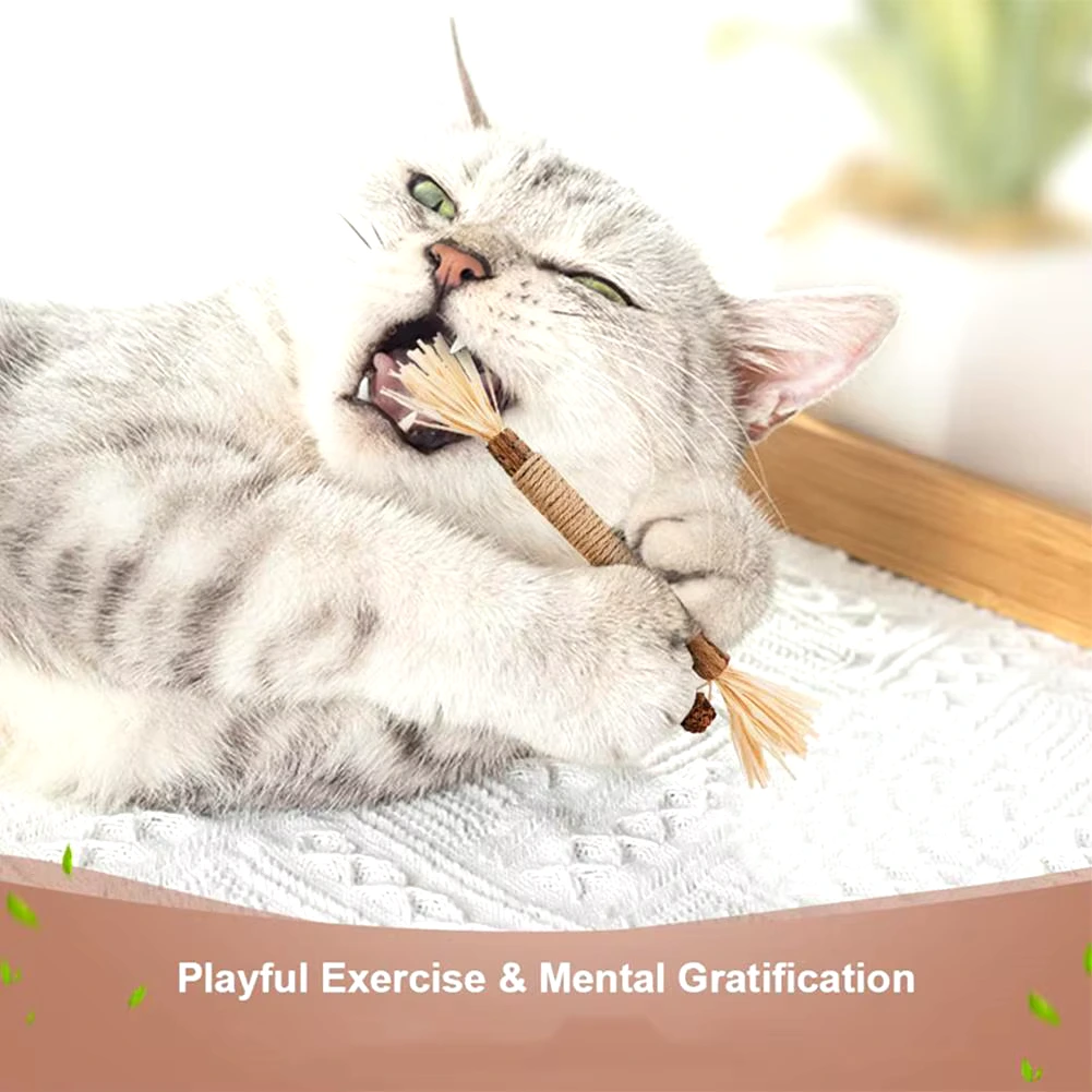 cat-teeth-cleaning-natural-matatabi-sticks